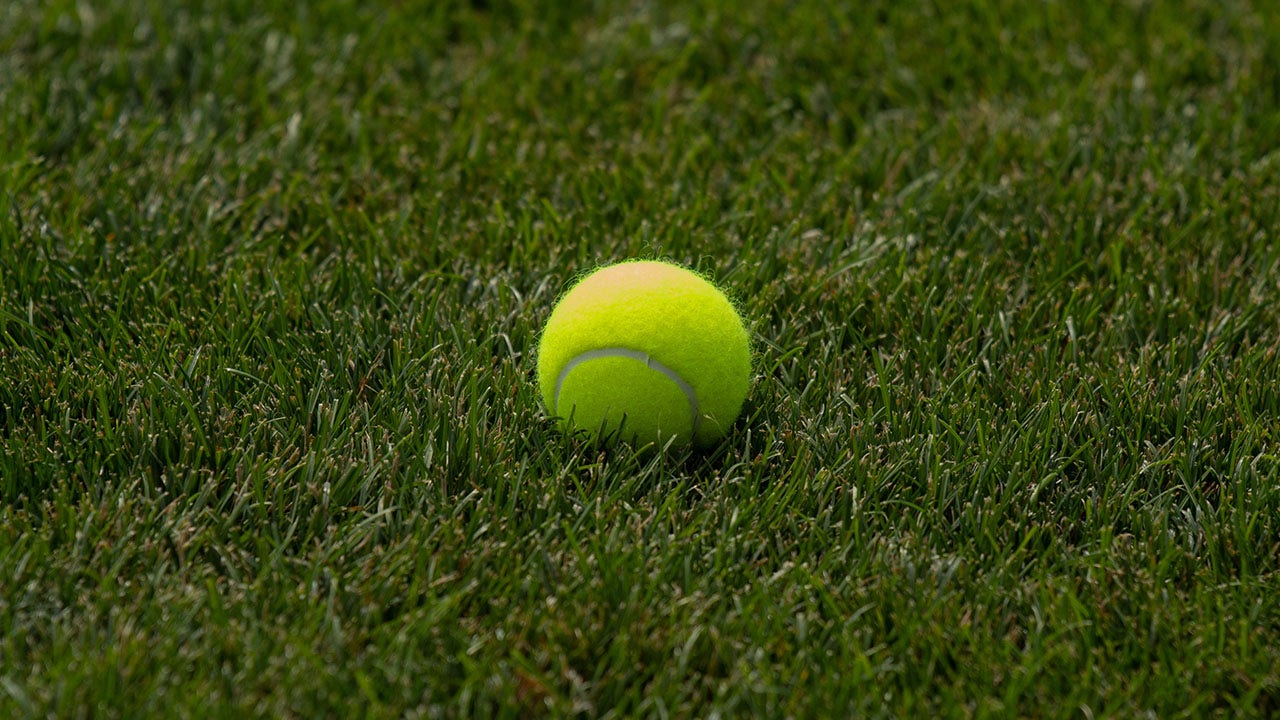 Tennis-ball-general.jpg