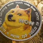 dogecoin_800x533_L_1637446667.jpg