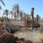 AFP__20240205__34HQ3YJ__v4__Preview__LibyaEnvironmentFlood-1708063190.jpg