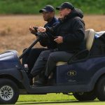 tiger-cart.jpg