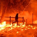 urlhttps3A2F2Fcalifornia-times-brightspot.s3.amazonaws.com2Fzbk2Fdamlat_images2FLA2FLA_PHOTO_SELECTS2F2017_122F3029267_ME_1205_thomas_fire5_WJS.JPG