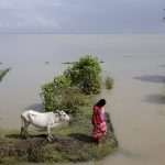 2018-11-29T040554Z_1635985059_RC1DF9D40E40_RTRMADP_3_CLIMATE-CHANGE-INDIA-ISLANDS-1709394451.jpg