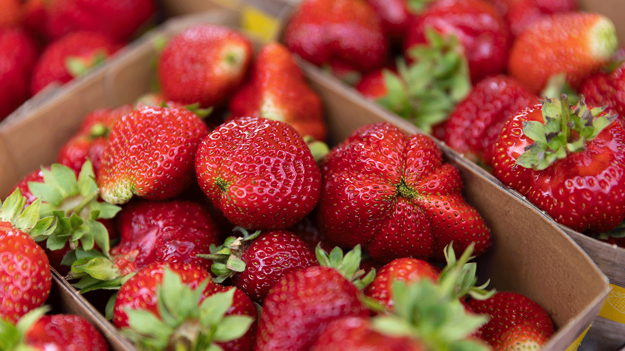 21bffea6-strawberries.gif