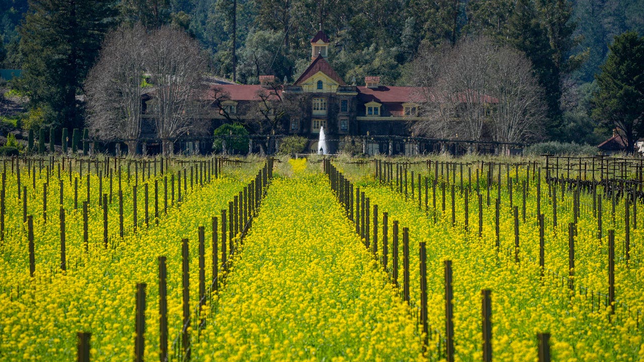 California-Wine-Country-Mustard.jpg