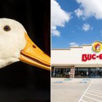 buc-ees-duck.jpg