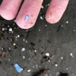 urlhttps3A2F2Fcalifornia-times-brightspot.s3.amazonaws.com2Fd02Fcf2F8e0bc12c496aa9ee583052dc707d2Fmicroplastics-risk-10517.jpg