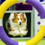 13DOGSHOW-04-wvbj-facebookJumbo-v2.jpg