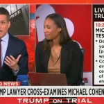 lawyer-on-msnbc.png