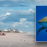 Shark-attack-North-Topsail-Beach.jpg