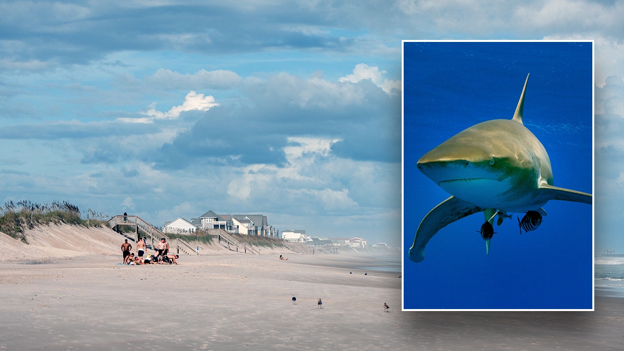 Shark-attack-North-Topsail-Beach.jpg
