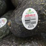 urlhttps3A2F2Fcalifornia-times-brightspot.s3.amazonaws.com2F992Fb62F95f5adcd4e25938ba67014881db02Fmexican-avocados-38425.jpg