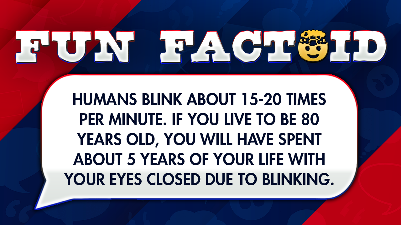 FUN_FACTOID_blinking.png