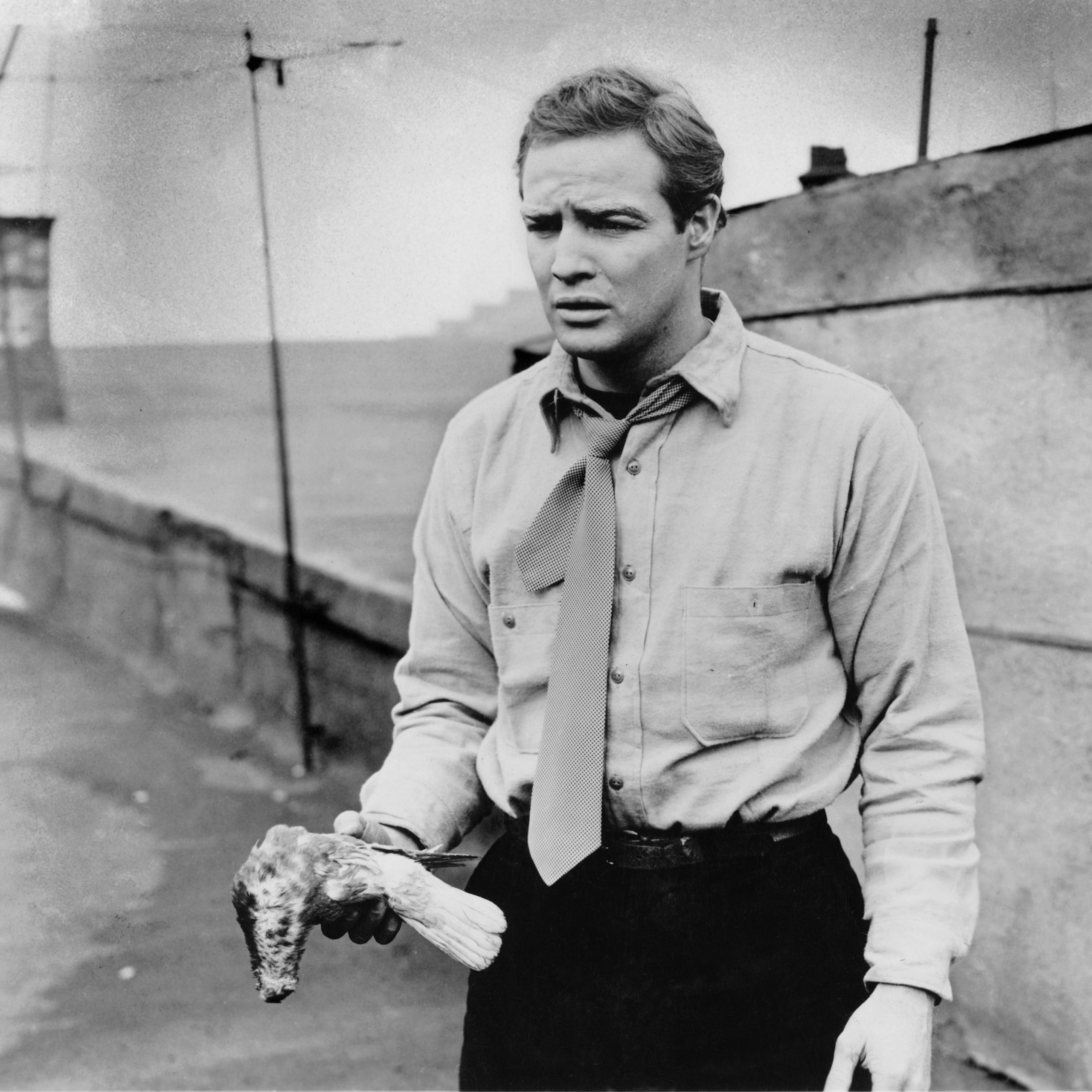 Marlon_Brando_3-scaled.jpg