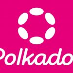 Polkadot_800x533_L_1723562370.jpg