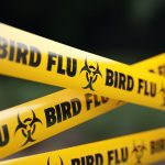 bird-flu-caution-tape.jpg