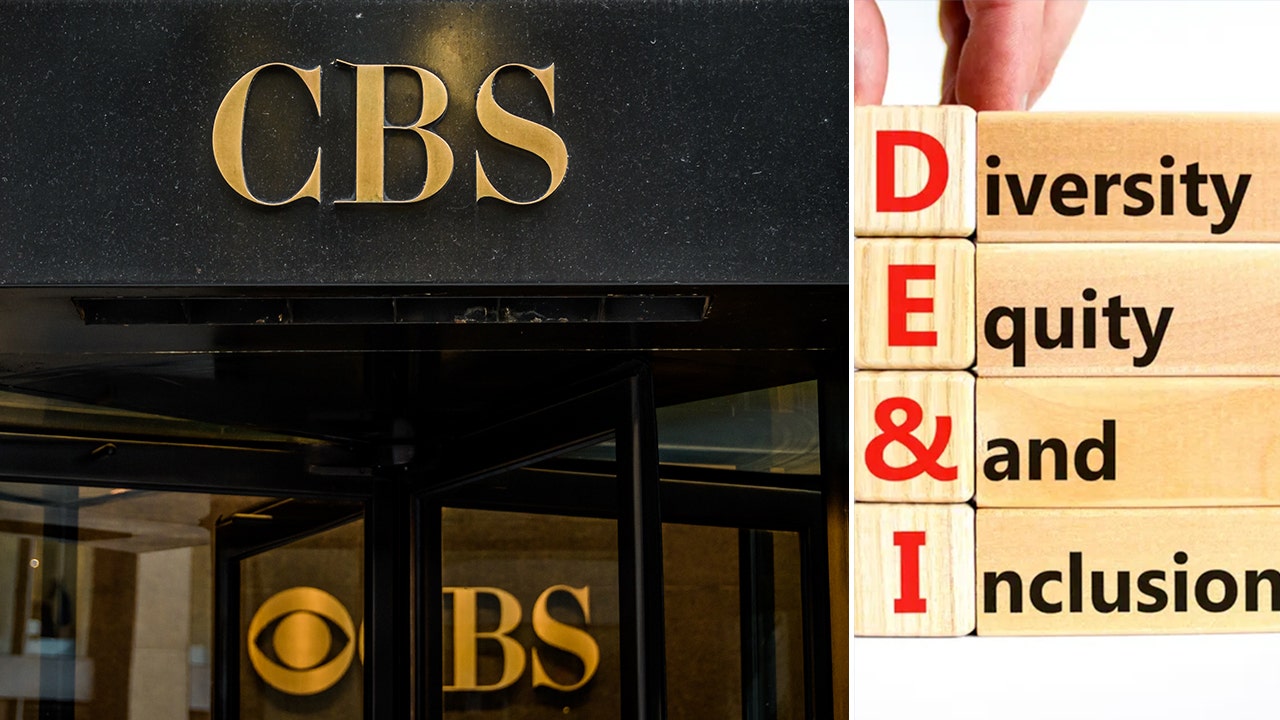 cbs-dei.jpg