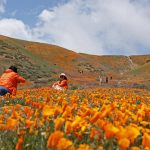 urlhttps3A2F2Fcalifornia-times-brightspot.s3.amazonaws.com2F542F962F7401a4f4406297e08bc40955.jpeg