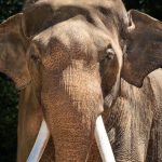 urlhttps3A2F2Fcalifornia-times-brightspot.s3.amazonaws.com2Fa92Fcf2F269dcd2845c6b2e897e75803.jpeg