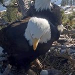 urlhttps3A2F2Fcalifornia-times-brightspot.s3.amazonaws.com2F912F212F4d8960054713affe717d8312.jpeg