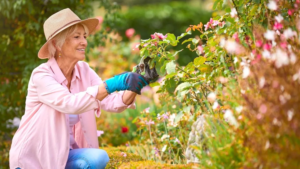 istock-woman-gardening-2152186846.jpg