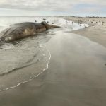 urlhttps3A2F2Fcalifornia-times-brightspot.s3.amazonaws.com2F0f2Fac2F652755fa4d52b9c5e771f789.jpeg