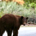 urlhttps3A2F2Fcalifornia-times-brightspot.s3.amazonaws.com2F192Fdb2F669e9f73425494adf31f0237.jpeg