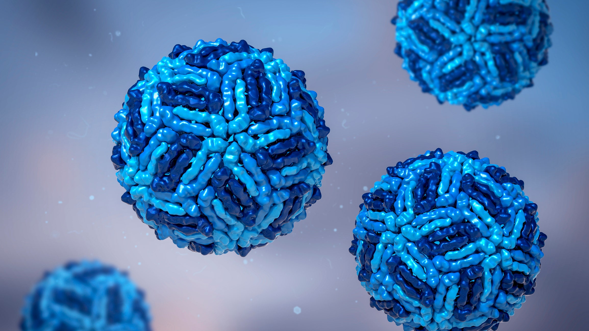 west-nile-3d.jpg