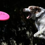 GettyImages-465603676.jpeg