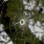 abc-10-bullet-holes-fox-news-001.png