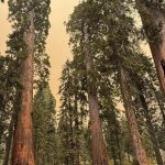 urlhttps3A2F2Fcalifornia-times-brightspot.s3.amazonaws.com2F852F432Fae3f734449779a826d97247b.jpeg