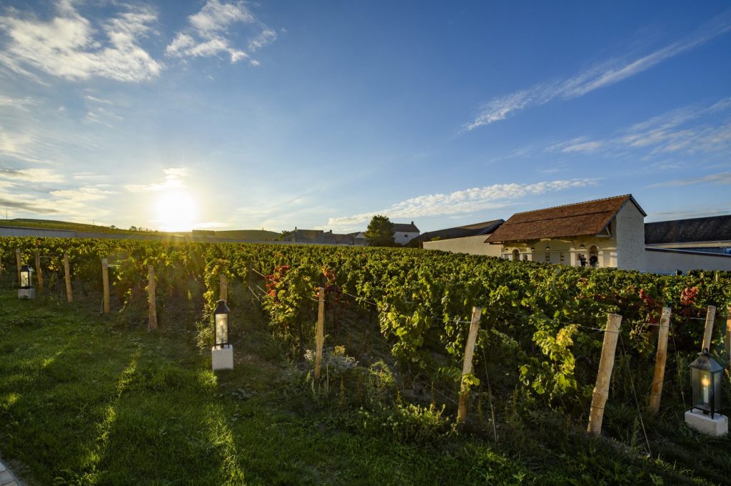 4.-Vignoble-Clos-Saint-Hilaire-c-Leif-Carlsson-1024x682.jpg