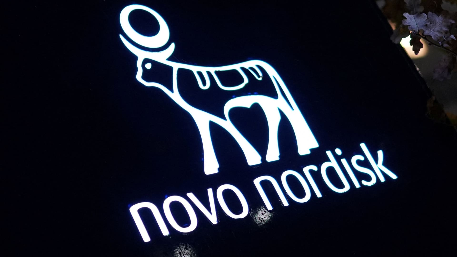 108231180-17640121262025-11-24t185244z_352081195_rc263iank3kr_rtrmadp_0_novo-nordisk.jpeg