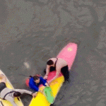 fl-paddleboard-gif.gif