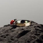 108312779-1779911683919-Oura_Ring_5_Nature_Ladybug.png