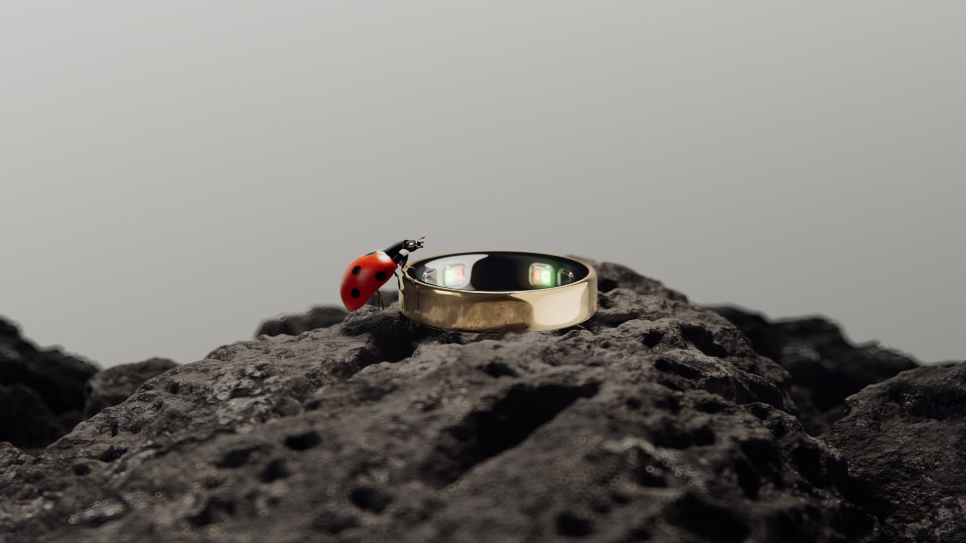 108312779-1779911683919-Oura_Ring_5_Nature_Ladybug.png