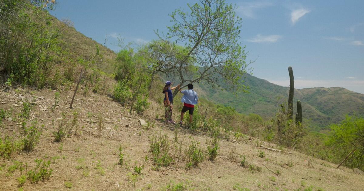 urlhttps3A2F2Fcalifornia-times-brightspot.s3.amazonaws.com2Fe22Ff12Fbe80427e4e6f96f8cbe0d534.jpeg
