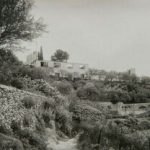 d6e0.jpg