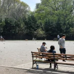 nyc-park.png