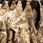 shirts_322088.jpg