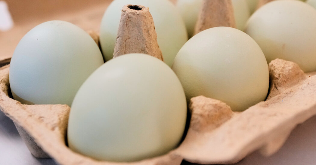 24xp-egg-recall-htqc-facebookJumbo.jpg