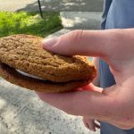 Little-Debbie-Oatmeal-Creme-Pie-in-hand.jpg