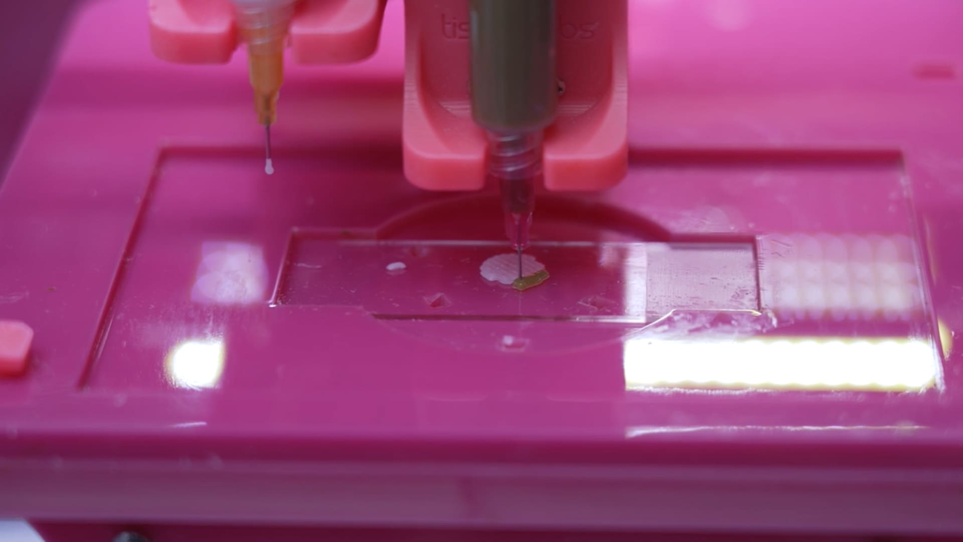 107421691-1717030135398-loreal_bioprinted_skin.PNG