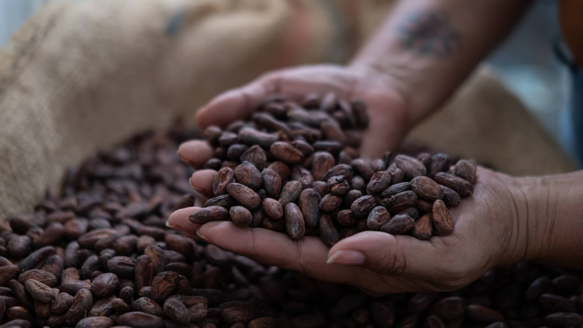 107429205-1718372908360-gettyimages-2105322411-COLOMBIA_CACAO_PRODUCTION.jpeg