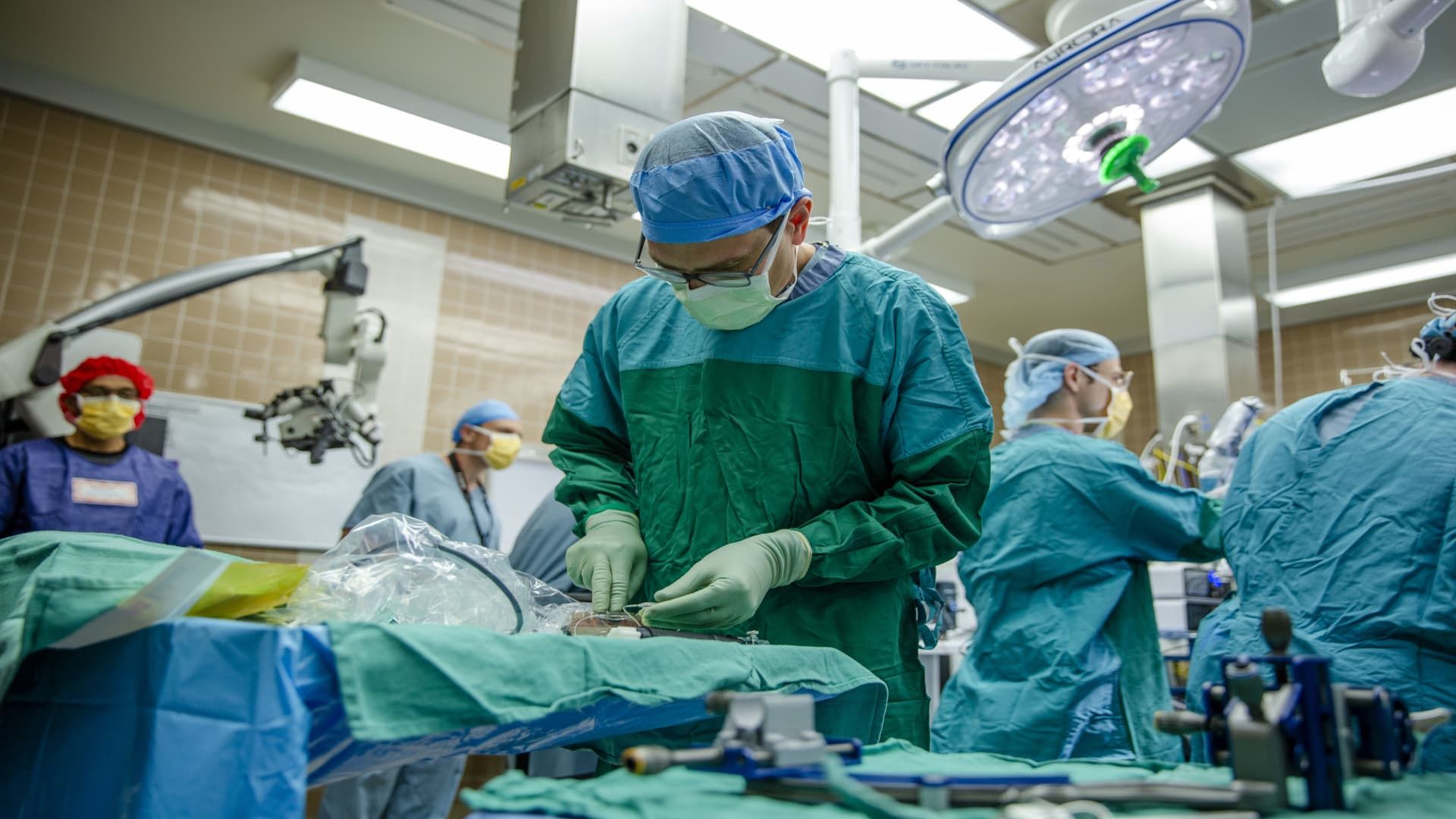 108152795-1748634934500-Dr_Willsey_working_at_the_back_table.jpg
