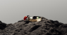 108312779-1779911683919-Oura_Ring_5_Nature_Ladybug.png