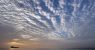 1779500807_urlhttps3A2F2Fcalifornia-times-brightspot.s3.amazonaws.com2F222F802F1242e9724326bfb582748af2.jpeg
