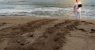 2015-06-30T120000Z_1549858430_GF10000144768_RTRMADP_3_LEBANON-ENVIRONMENT-1782068928.jpg