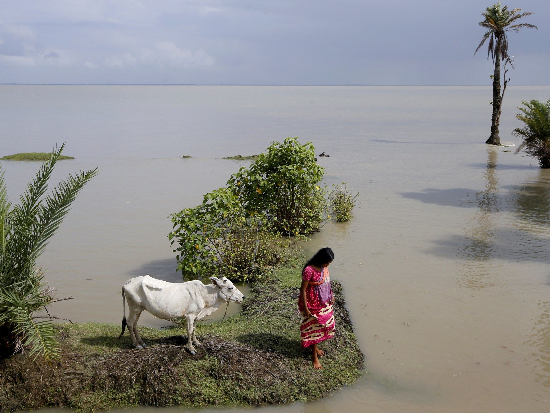 2018-11-29T040554Z_1635985059_RC1DF9D40E40_RTRMADP_3_CLIMATE-CHANGE-INDIA-ISLANDS-1709394451.jpg