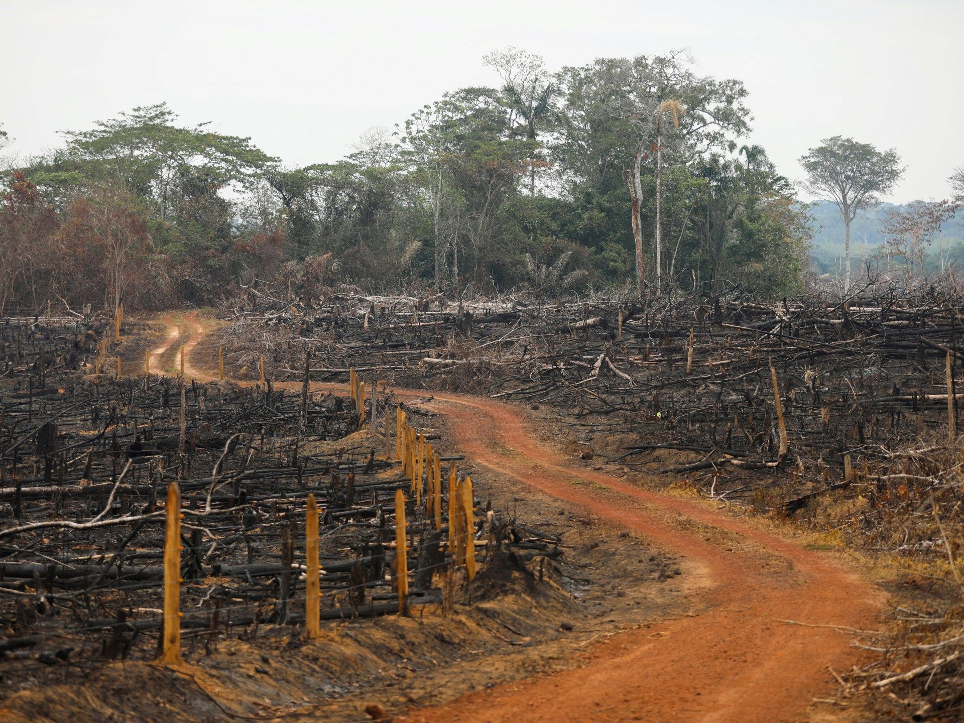 2021-04-14T100248Z_685829865_RC2MVM9RUQFT_RTRMADP_3_COLOMBIA-DEFORESTATION-1720467779.jpg