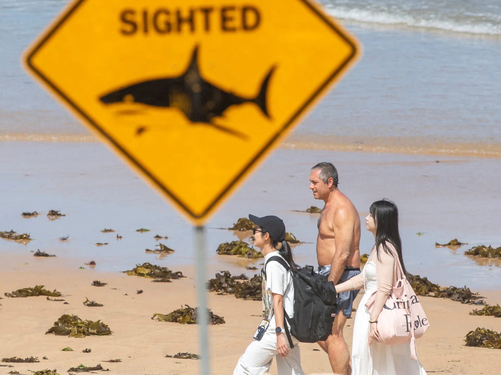 2026-01-20T055415Z_493526111_RC2S4JAWOL3K_RTRMADP_3_AUSTRALIA-SHARK-1778914036.jpg